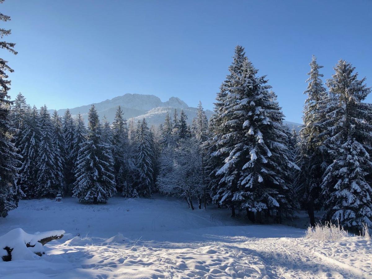Apartament Chata Toma Zakopane Exterior foto